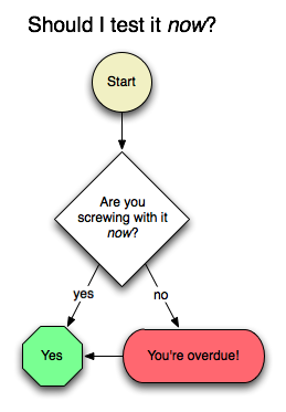 Shoud I test it now? flowchart