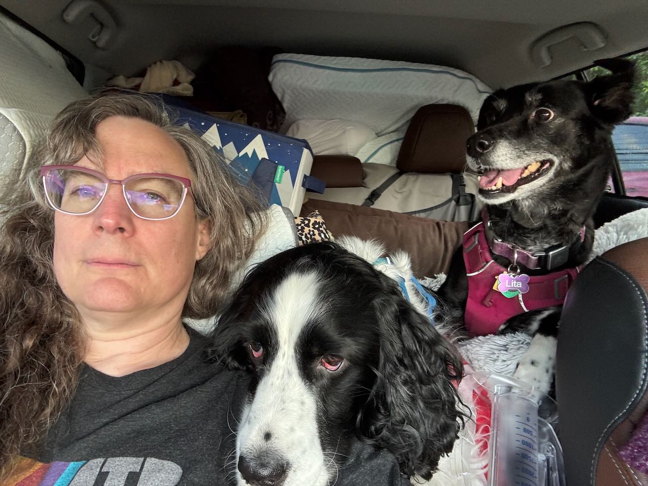 A selfie with me, two dogs, and way too much stuff crammed into our car on the way home.